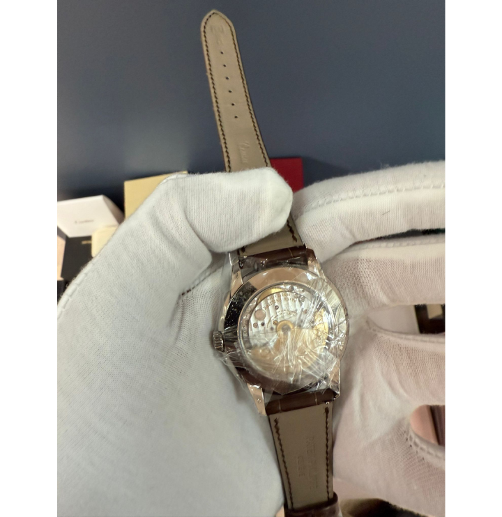 Patek Philippe 5320G Tiffany Dial