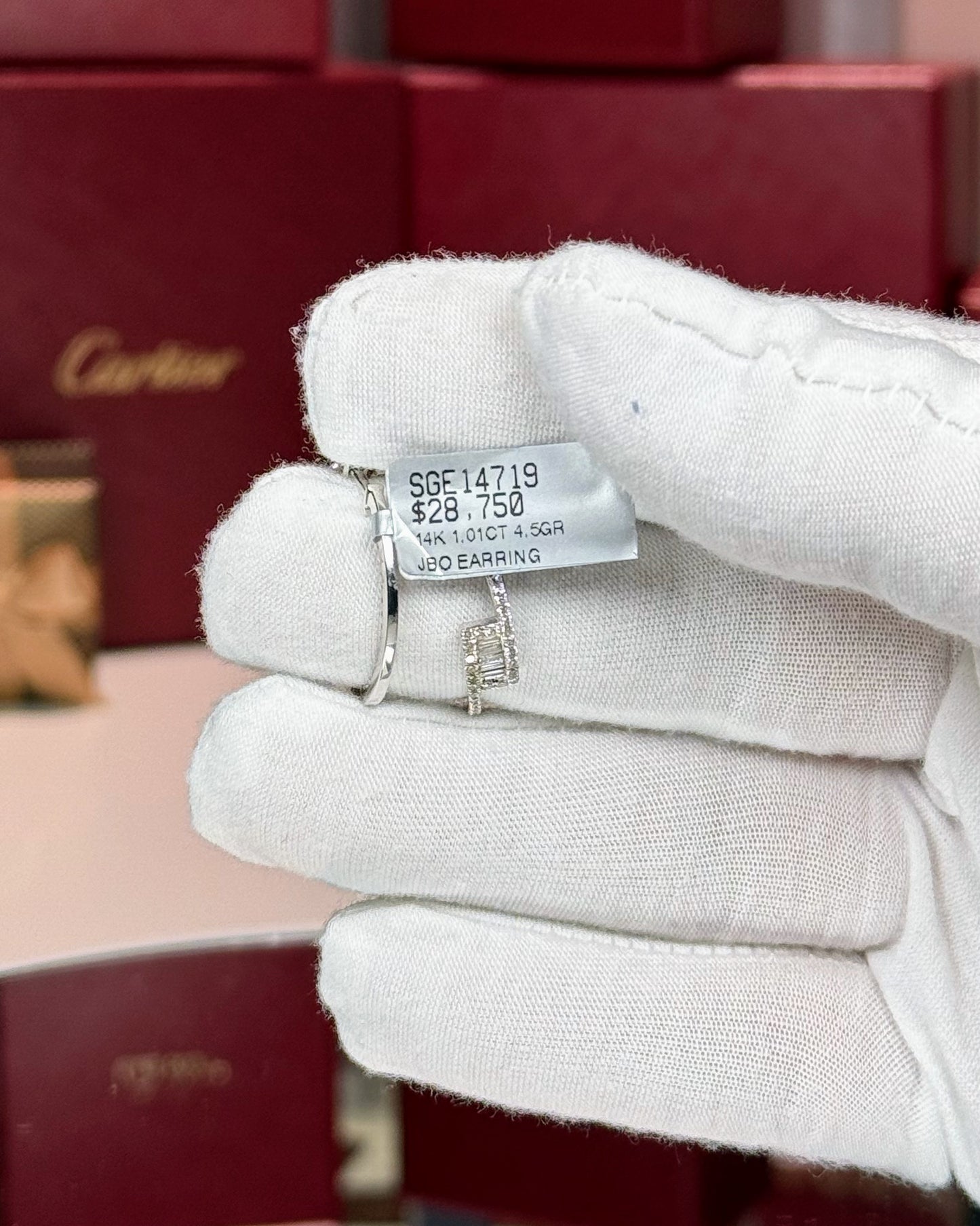 14k White Gold Diamond Loop Earrings