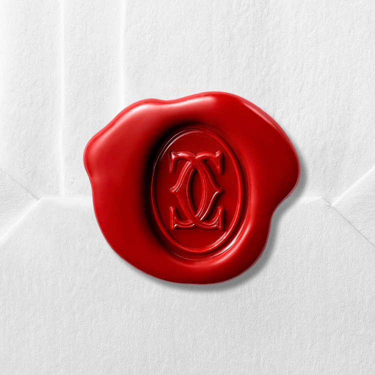 Santos De Cartier Black Dial - WSSA0037