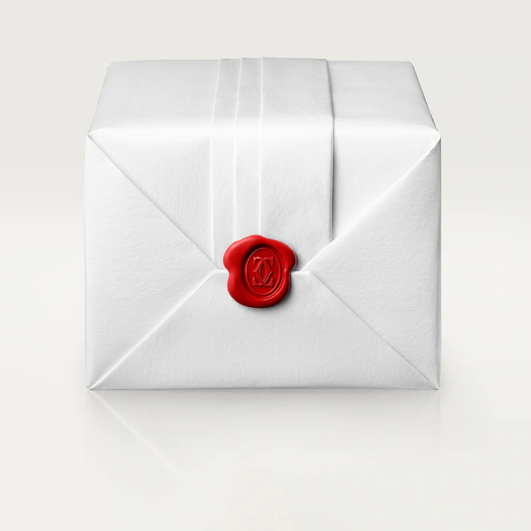 Coussin de Cartier Gem Dial - WJCS0009