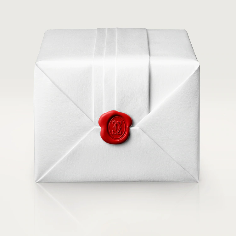 Santos De Cartier White Dial - WSSA0018