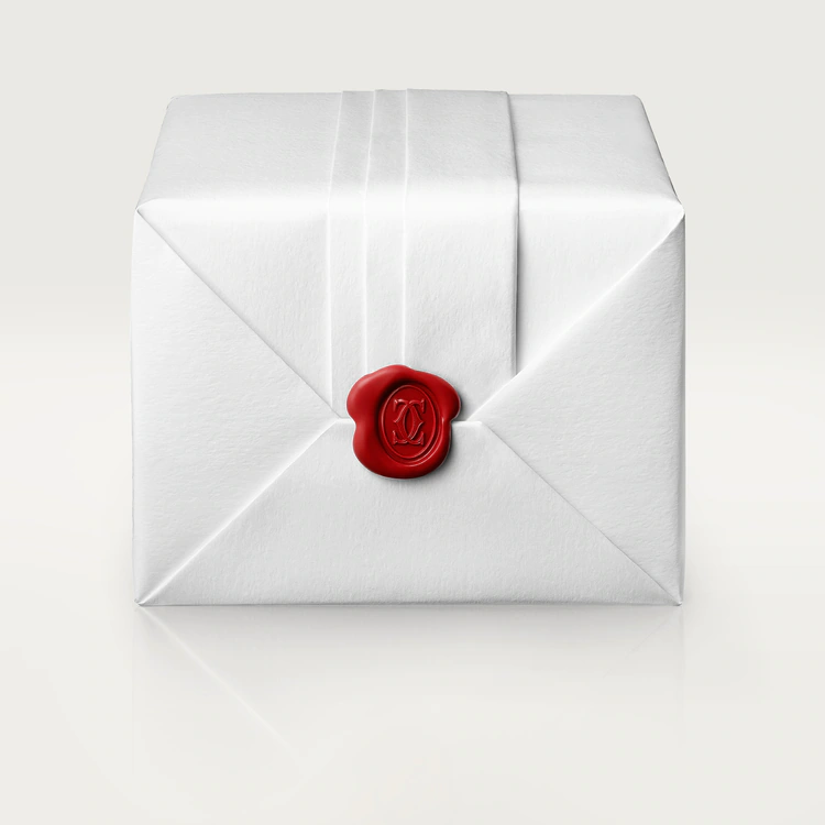 Pasha de Cartier Black Dial - WSPA0026