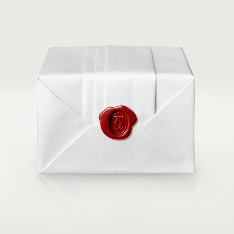 Pasha de Cartier Black Dial - WSPA0027