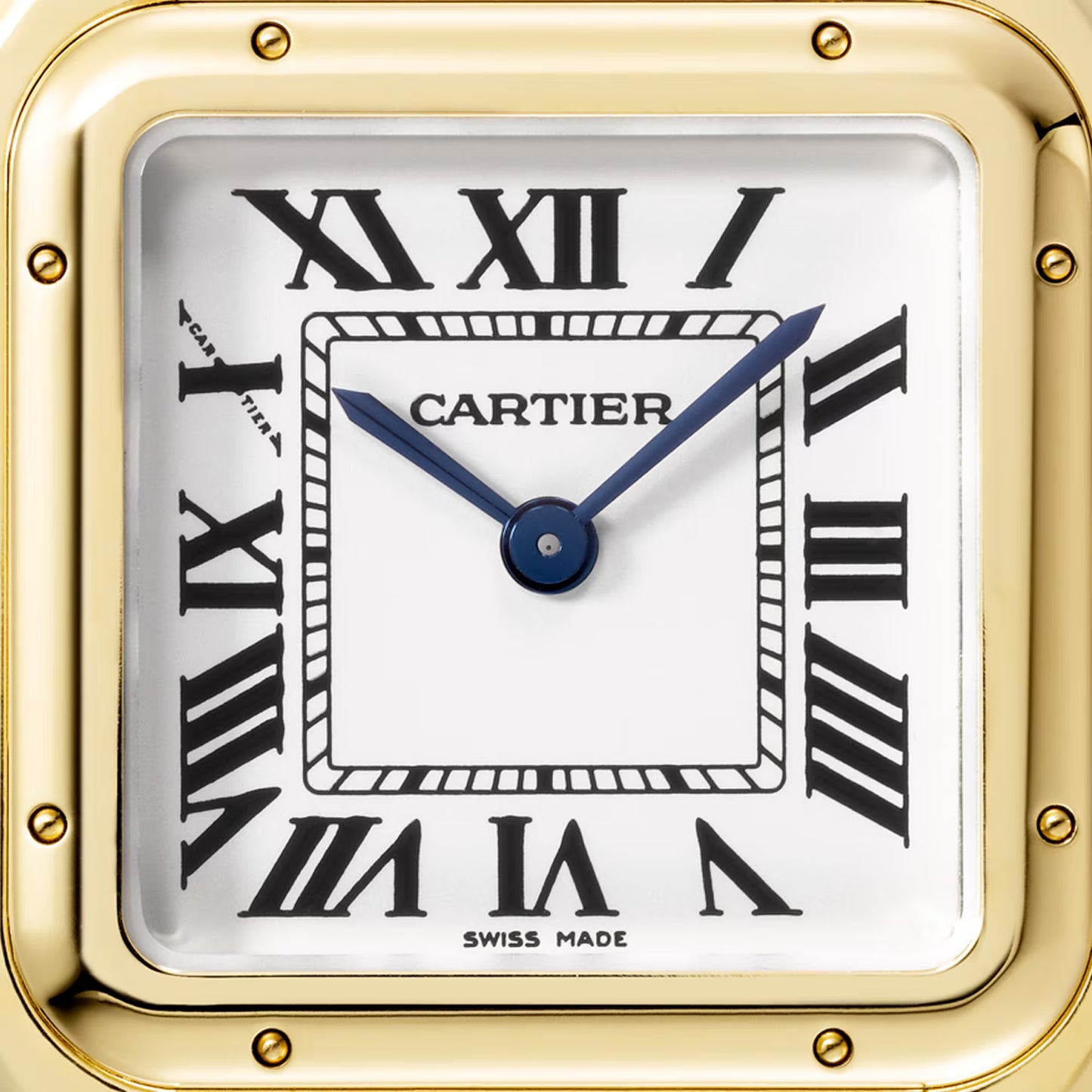 Panthère de Cartier - White Dial WGPN0047