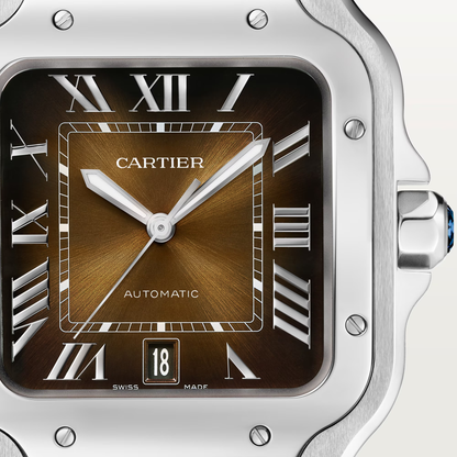 Santos de Cartier - Brown Dial WSSA0064