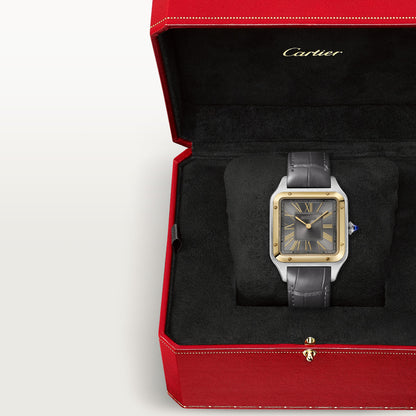 Santos-Dumont - Black Dial W2SA0036