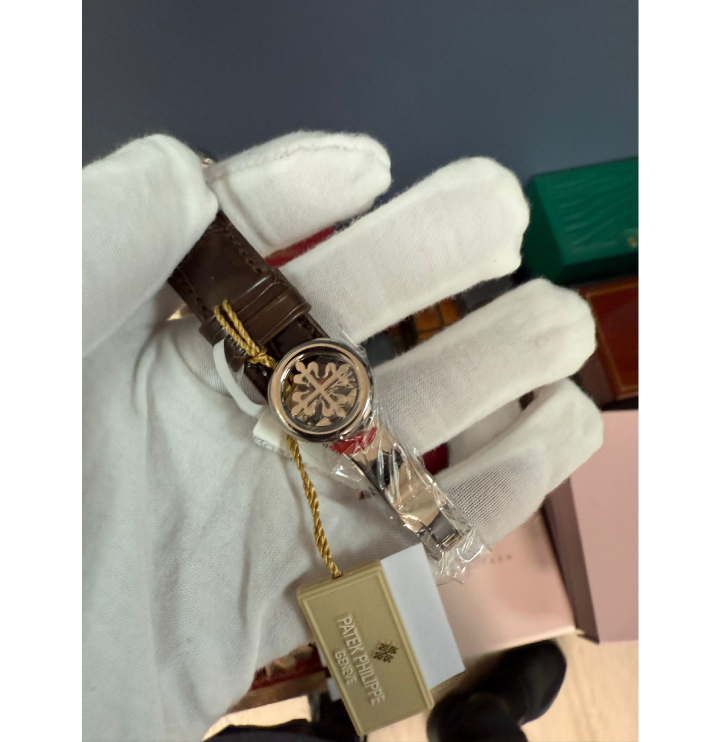 Patek Philippe 5320G Tiffany Dial
