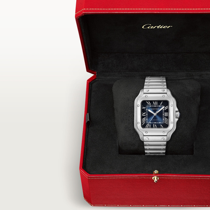 Santos de Cartier - Blue Dial WSSA0063