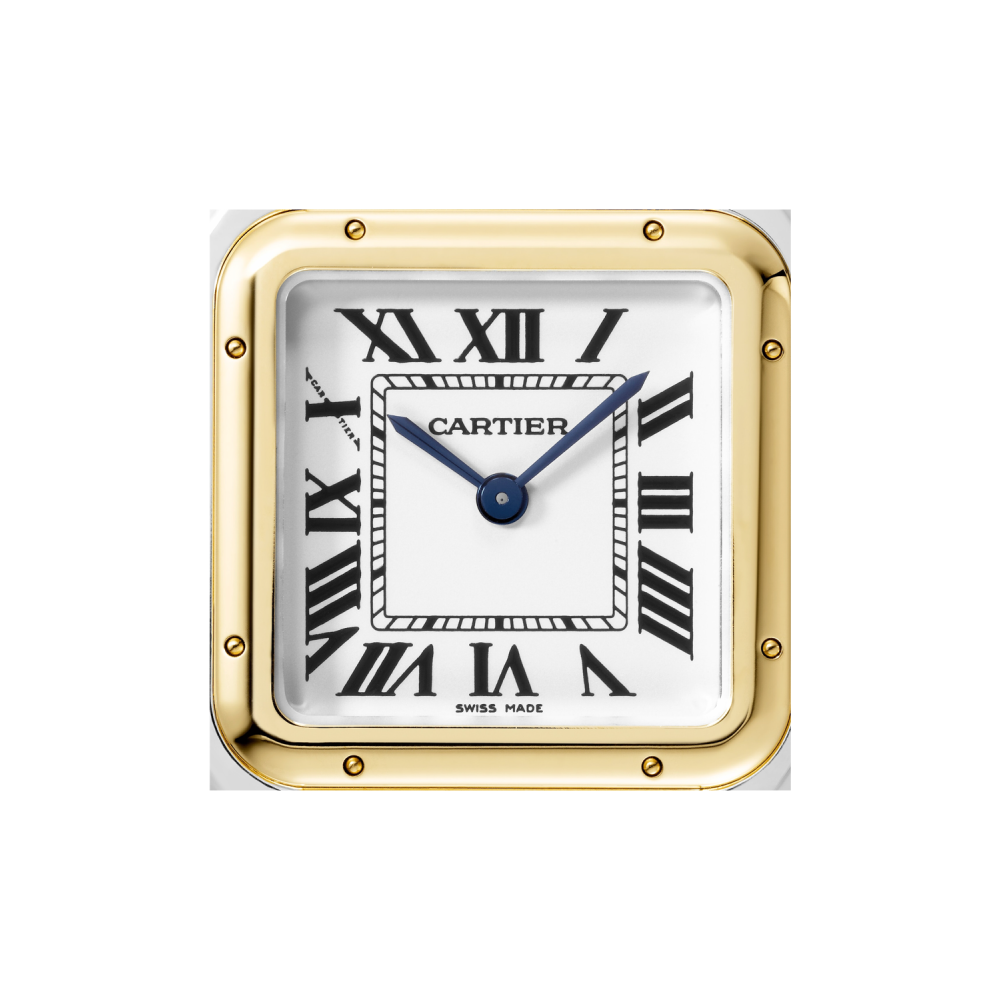 Panthère de Cartier, Yellow Gold & Steel, Medium -  White Dial W2PN0007