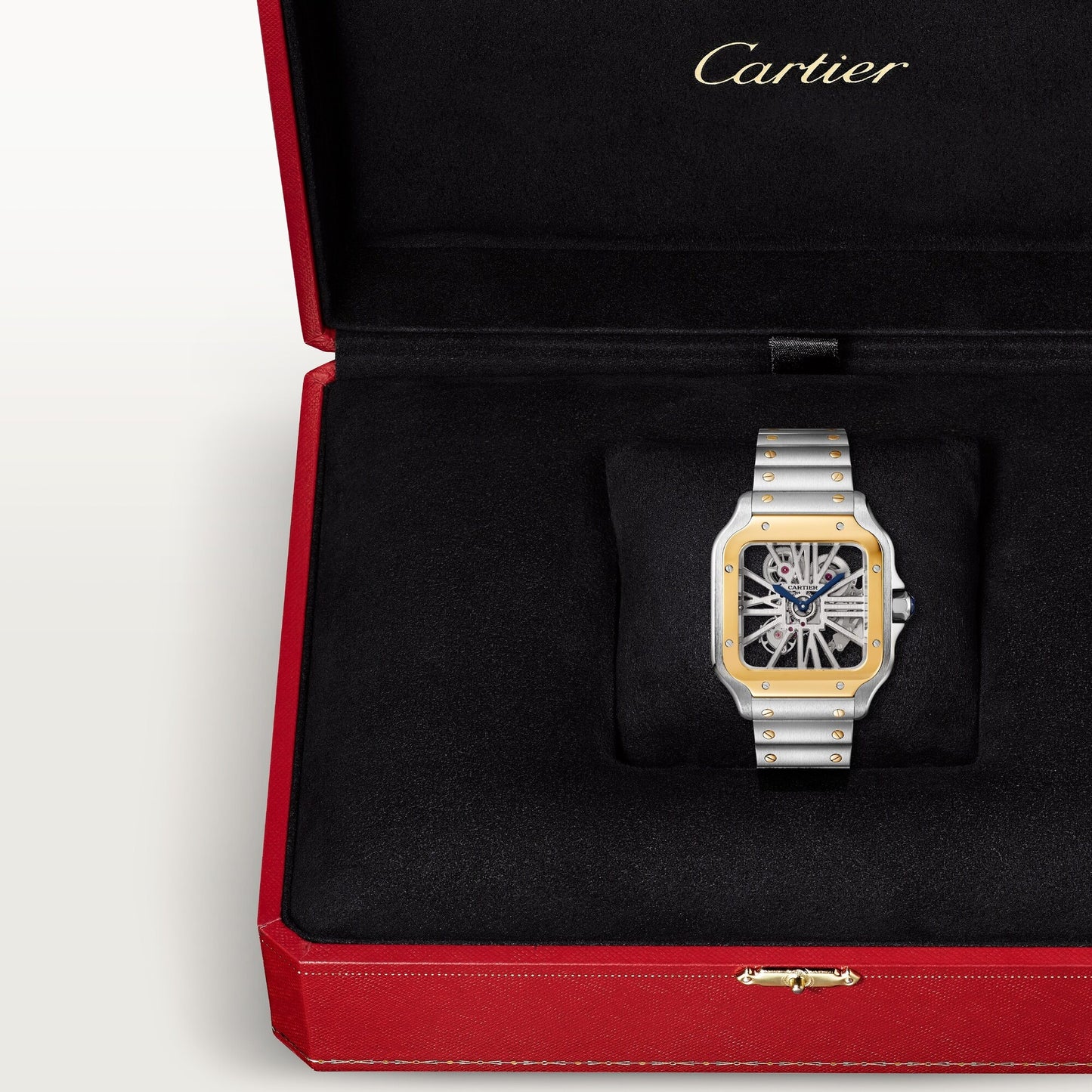 Santos de Cartier skeleton - White Dial WHSA0019