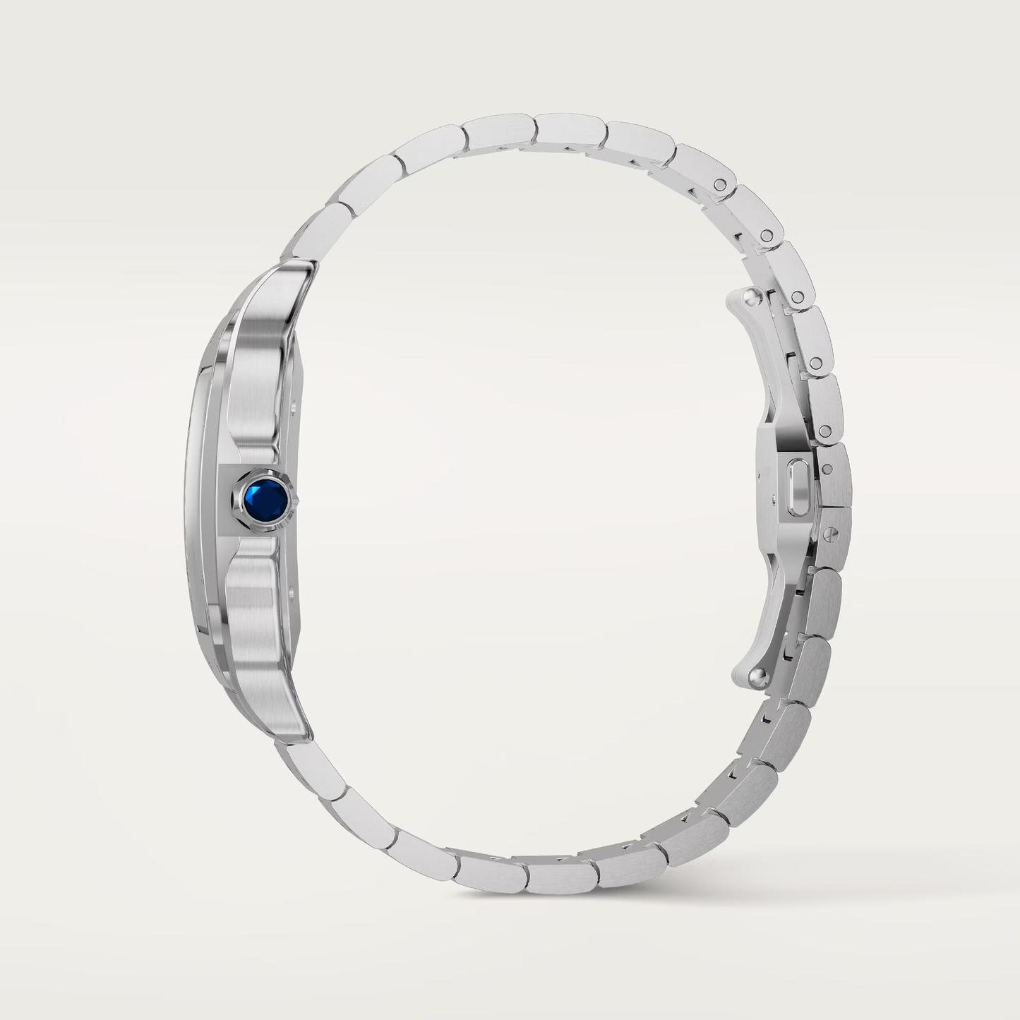 Santos de Cartier - Blue Dial WSSA0071