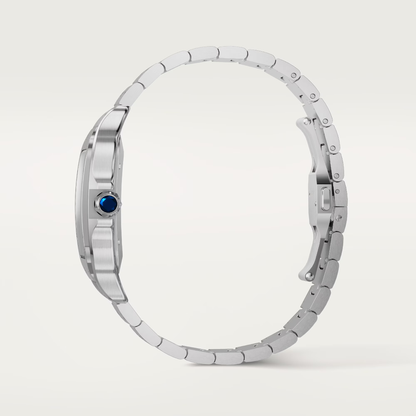 Santos de Cartier - Blue Dial WSSA0071