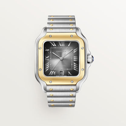 Santos de Cartier - Black Dial W2SA0030
