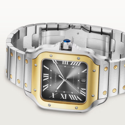 Santos de Cartier - Black Dial W2SA0030