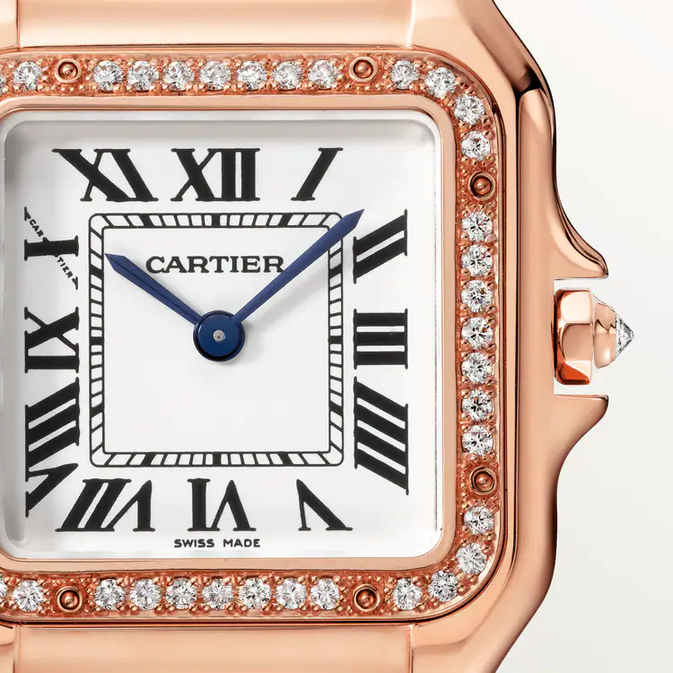 Panthère de Cartier White Dial - WJPN0009