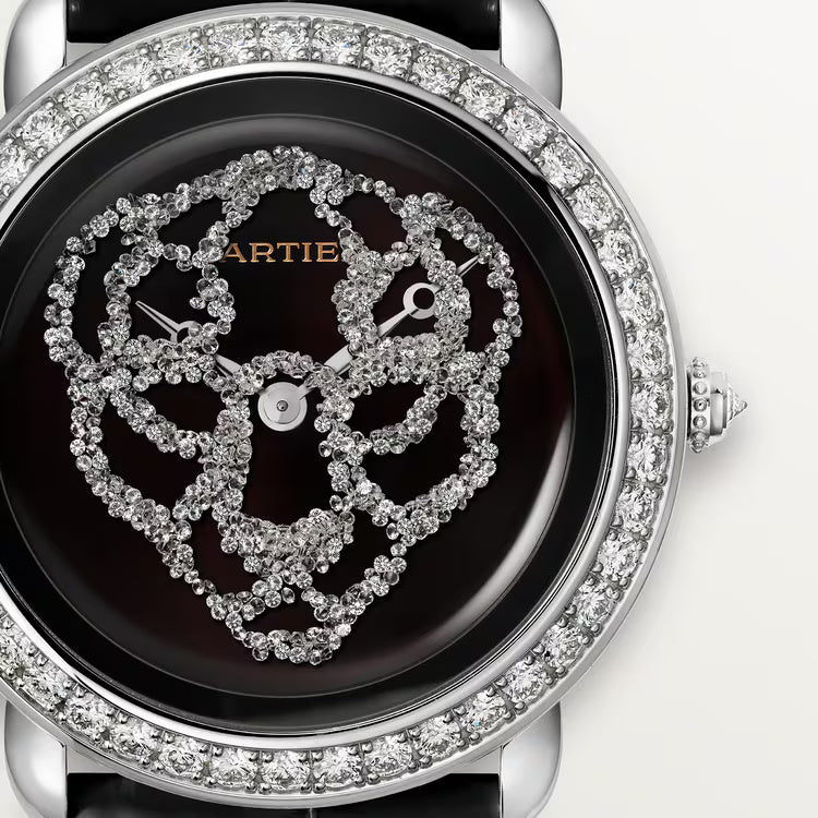 Révélation d'une Panthère - Gem Dial HPI01430