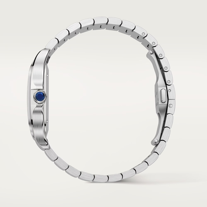 Santos de Cartier - Blue Dial WSSA0063