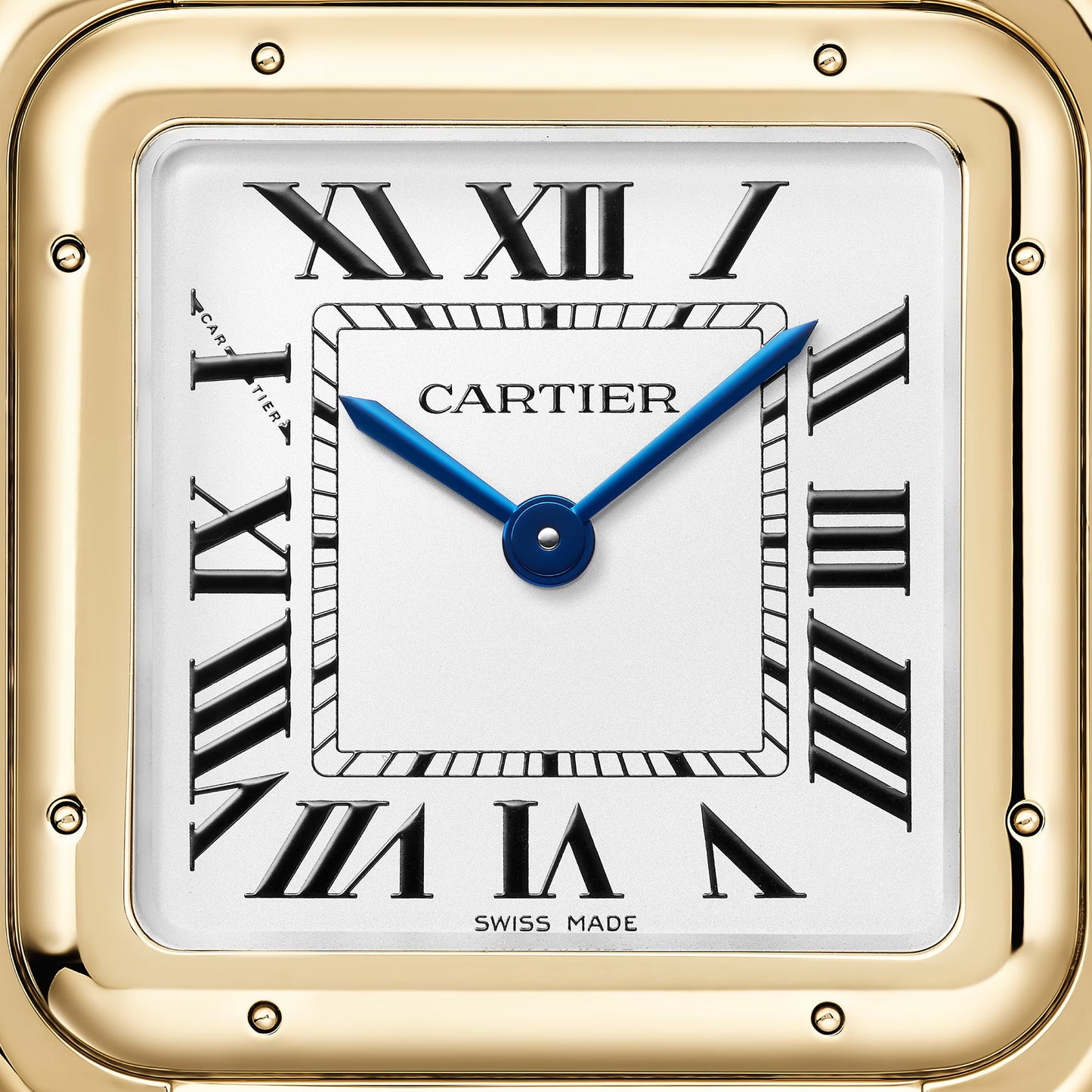 Panthère de Cartier - White Dial WGPN0051