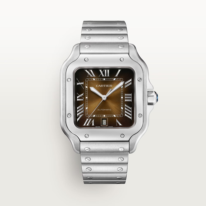 Santos de Cartier - Brown Dial WSSA0064
