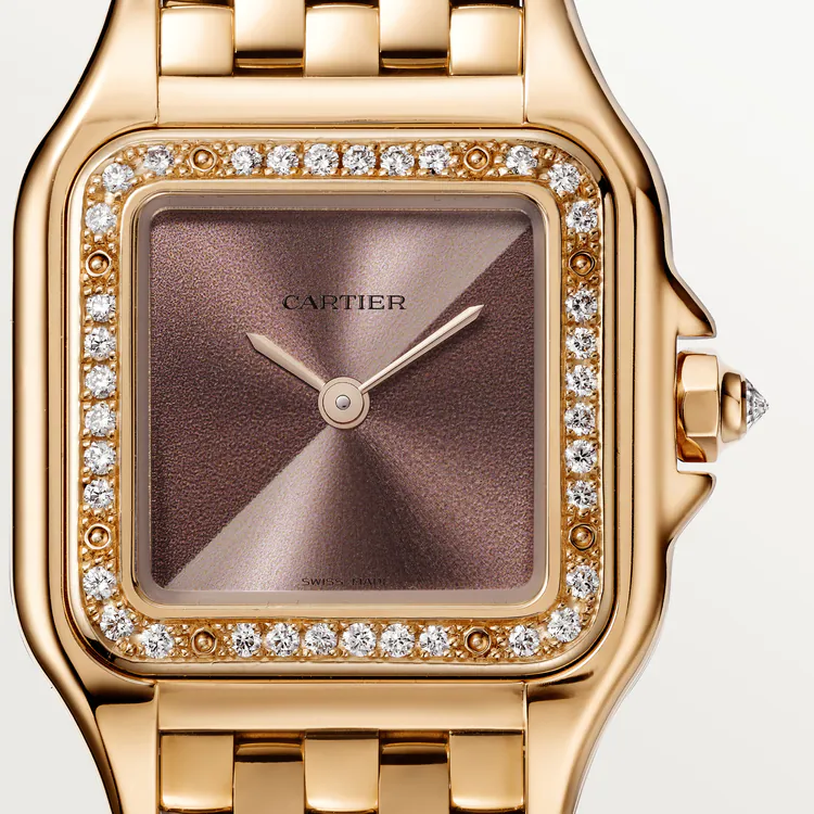 Panthère de Cartier Brown Dial - WJPN0035