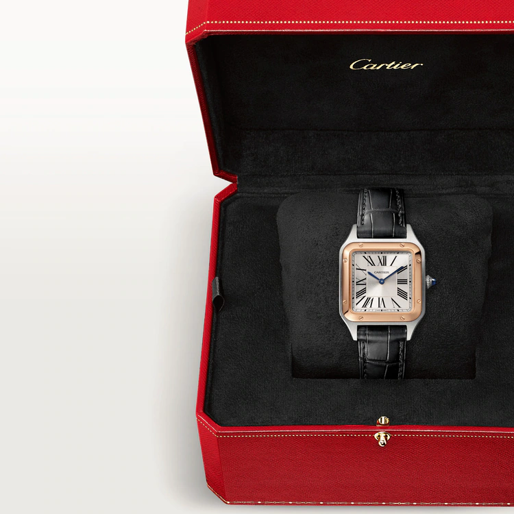 Santos-Dumont White Dial - W2SA0012