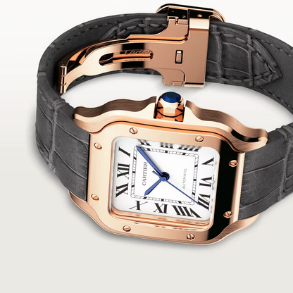Santos De Cartier White Dial - WGSA0028