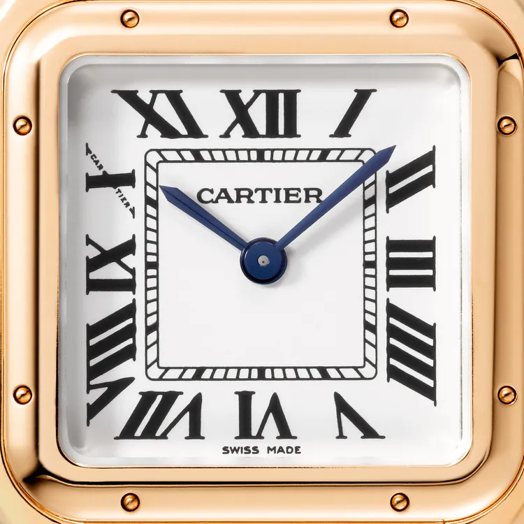 Panthère de Cartier White Dial - WGPN0007