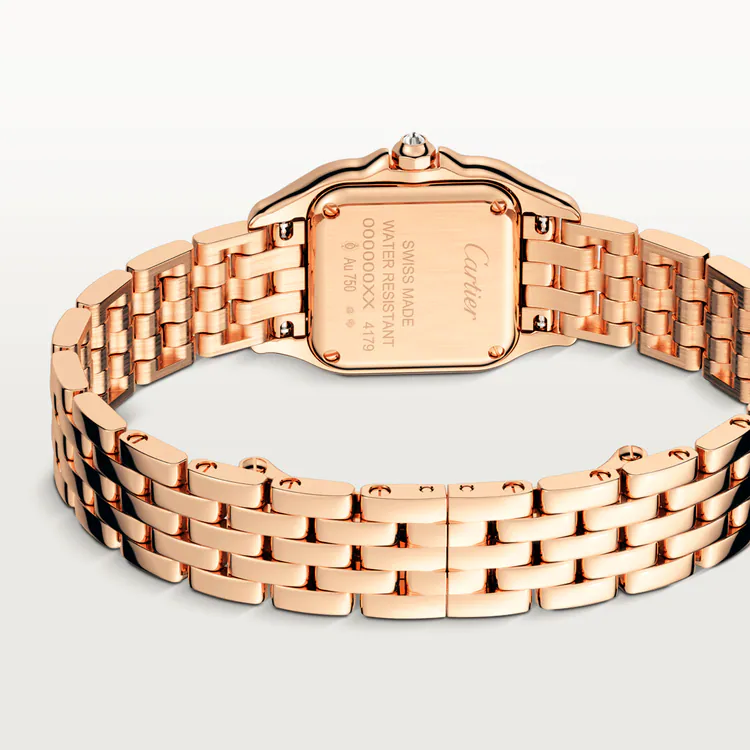 Panthère de Cartier Brown Dial - WJPN0035