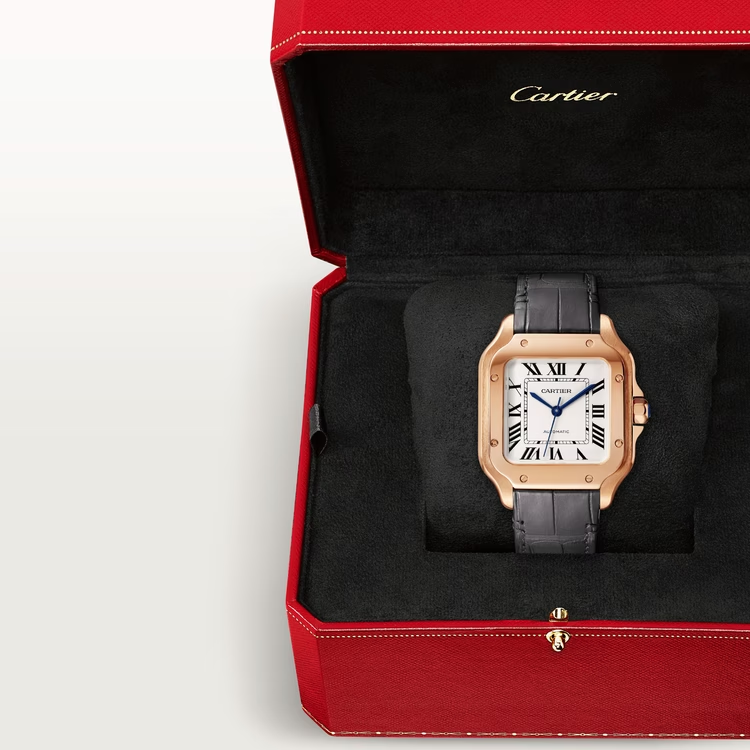 Santos De Cartier White Dial - WGSA0028