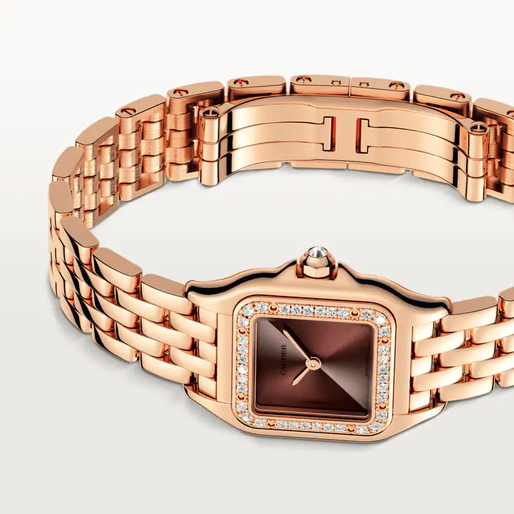 Panthère de Cartier Brown Dial - WJPN0035