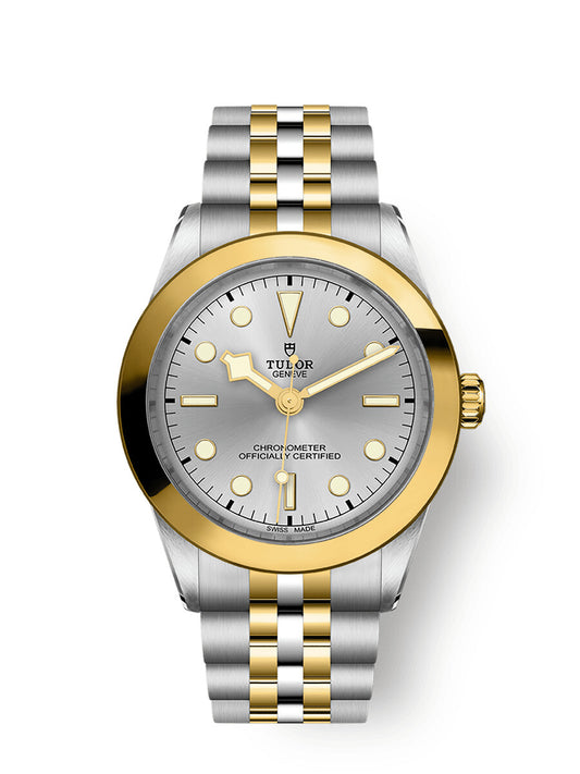 Tudor Black Bay 39 S&G Silver Dial M79663-0002