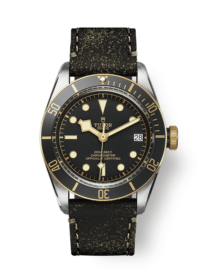 Tudor Black Bay S&G Black Dial 79733N